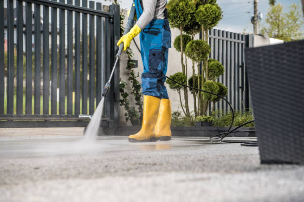 Best Animal Enclosure Cleaning  in Labelle, FL